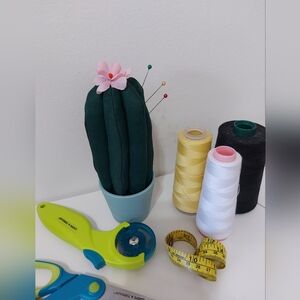 A pretty cactus for your needles.